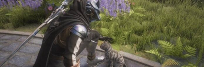 destiny-rising-pet-that-catto